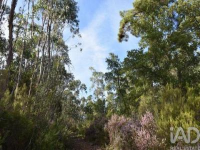 Vente Terrain Alem-da-ribeira SABACHEIRA 14