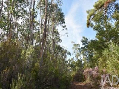 Acheter Terrain 5400 m2 Alem-da-ribeira