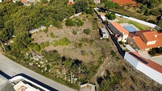 Acheter Terrain 3160 m2 Alcobaca