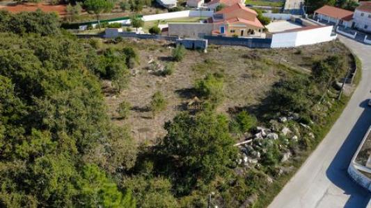 Acheter Terrain Alcobaca rgion LEIRIA