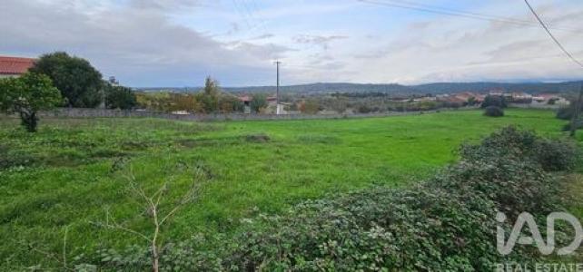 Vente Terrain Penela SAO-MIGUEL,-SANTA-EUFAMIA-E-RABAAAL 06 au Portugal