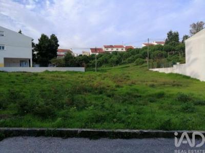 Acheter Terrain Leiria rgion LEIRIA