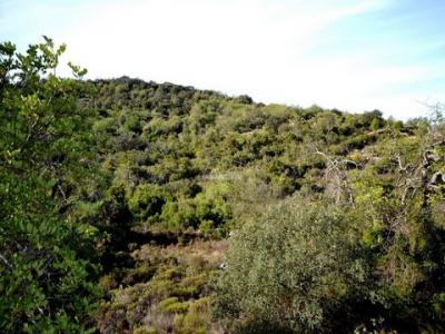 Annonce Vente Terrain Loule