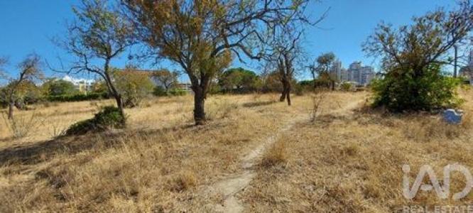 Acheter Terrain 21930 m2 Alcantarilha