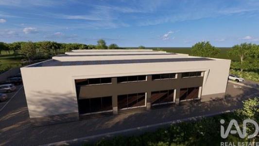 Acheter Local commercial 300 m2 Almancil