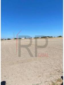 Acheter Terrain 32767 m2 Canha