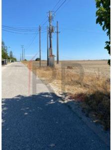 Acheter Terrain Canha rgion SETUBAL