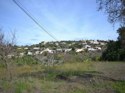 Annonce Vente Terrain Loule