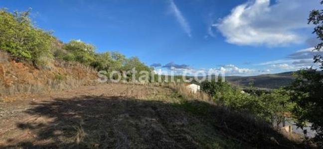 Vente Terrain Loule  08