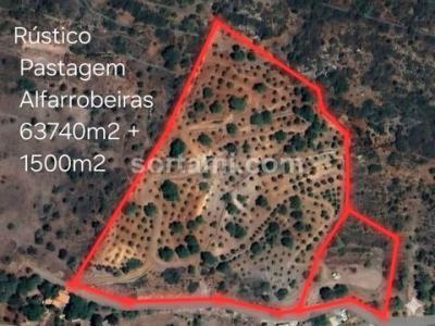 Annonce Vente Terrain Loule