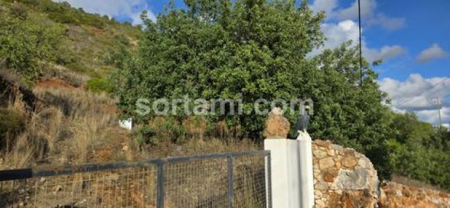 Acheter Terrain Loule rgion FARO