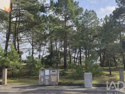 Acheter Terrain 255 m2 Sesimbra