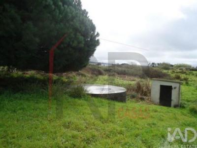 Acheter Terrain 10875 m2 Palmela