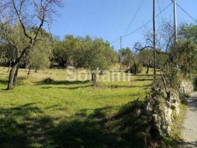 Vente Terrain Sao-bras-de-alportel  08 au Portugal
