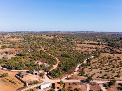 Annonce Vente Terrain Lagos