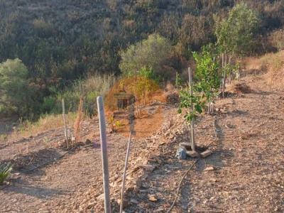 Acheter Terrain 17480 m2 Castro-marim