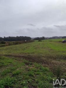 Annonce Vente Terrain Barcelos