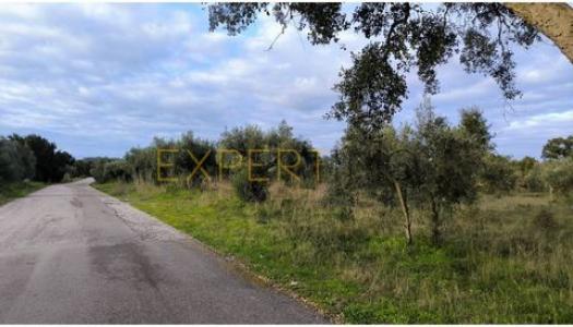 Acheter Terrain Vila-nova-da-barquinha rgion SANTAREM