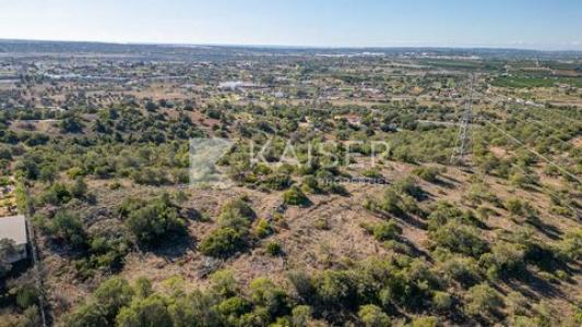 Acheter Maison Tunes