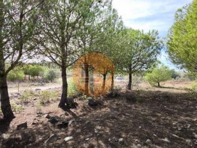 Annonce Vente Terrain Alcoutim