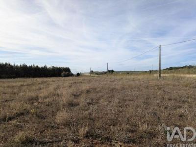 Annonce Vente Terrain Estremoz