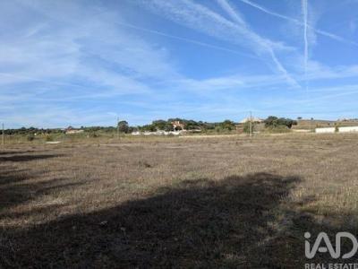 Acheter Terrain 9920 m2 Estremoz