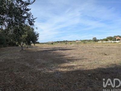 Acheter Terrain Estremoz rgion EVORA