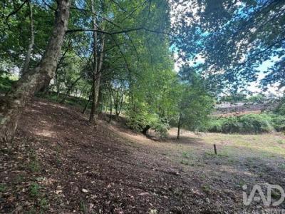 Acheter Terrain 4398 m2 Penafiel