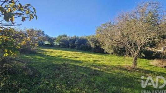 Annonce Vente Terrain Faro