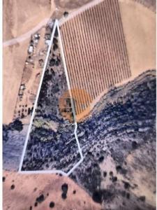 Vente Terrain Castro-marim CASTRO-MARIM 08 au Portugal