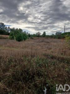 Acheter Terrain 9120 m2 Almeirim