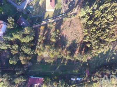 Acheter Terrain Vila-nova-de-poiares rgion COIMBRA