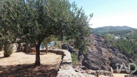 Acheter Local industriel Idanha-a-nova rgion CASTELO-BRANCO