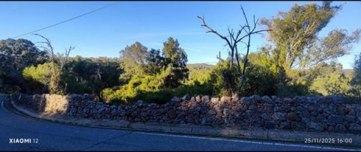 Annonce Vente Terrain Loule