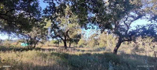 Acheter Terrain 8600 m2 Loule