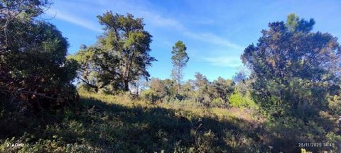 Acheter Terrain Loule rgion FARO