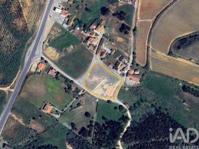 Annonce Vente Terrain Alcoentre