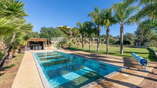 Acheter Maison 395 m2 Albufeira