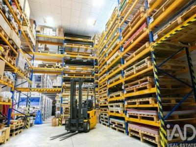 Acheter Local industriel 591 m2 Golega