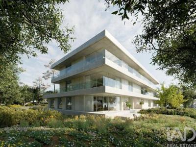 Vente Terrain Mancelos REAL,-ATAA�DE-E-OLIVEIRA 13 au Portugal