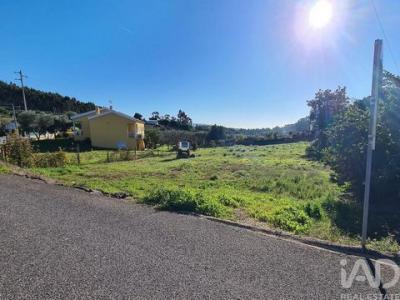 Acheter Terrain 1268 m2 Campelos