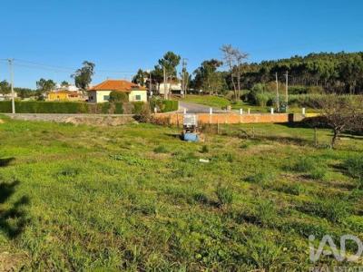 Acheter Terrain Campelos rgion LISBOA