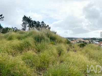 Acheter Terrain Belas rgion LISBOA