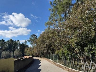 Annonce Vente Terrain Porto-de-mos