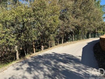 Acheter Terrain 2320 m2 Porto-de-mos