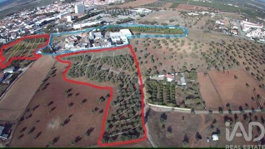 Annonce Vente Terrain Moura