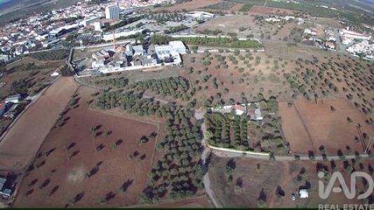 Acheter Terrain Moura rgion BEJA