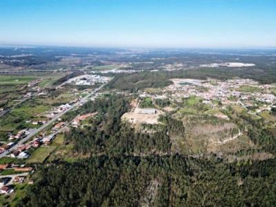 Acheter Terrain 1200 m2 Agua-formosa