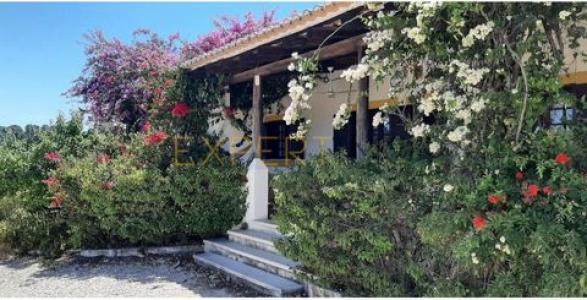 Annonce Vente Maison Monchique