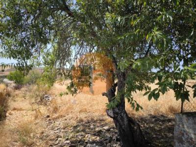 Annonce Vente Terrain Alcoutim